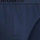 Набор трусов слипов мужских хлопковых Atlantic 3MP-094 DENJ/IND/ZIEC S 3 шт Синий/Зеленый (5907086023341) - изображение 5