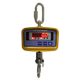 Крановые весы Dneproves ВКД-0.3т-EXZA до 300 кг - изображение 1