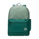 Рюкзак для ноутбука Case Logic 15.6 Commence 24L CCAM-1216 Islay Green/Smoke Pine (3204926) - изображение 2