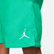 Шорты Air Jordan M J Jumpman Poolside Short Green CZ4751-372 S - изображение 5