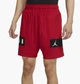 Шорты Air Jordan Dri-Fit Air Mesh Graphic Shorts Red CZ4771-687 L - изображение 1