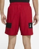Шорты Air Jordan Dri-Fit Air Mesh Graphic Shorts Red CZ4771-687 L - изображение 6