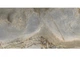 Керамограніт Megagres Forest Light 60x120см - зображення 2