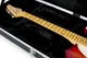 Кейс для электрогитары GATOR GC-ELECTRIC-A Electric Guitar Case - изображение 4