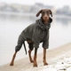 Комбинезон Noble Pet Travis T4123/XL Khaki (00002240) - изображение 4