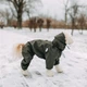 Комбинезон Noble Pet Travis T4123/XL Khaki (00002240) - изображение 8