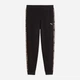 Спортивные штаны женские Puma Ess Graphic Animal Comfort Pants Tr Cl 69246401 L Black (4069162042897) - изображение 4