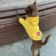 Худи для собак и кошек DIEGO Hoodie желтое, велюровая кофта с капюшоном на липучке и декоративным карманом, унисекс, размер XS (обхват шеи 19–23 см / грудь 32–40 см / длина спины 22–24 см), арт. 4820251911353 - изображение 3