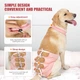 Дихаюча попона для собак Derby Breathable Pet Recovery Suite, Pink, L - зображення 3