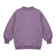 Світшот Garnamama Sweatshirt girl Butterflies 152 Сиреневый (977098.1334382) - изображение 2