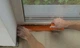 Стрічка для штукатурних робіт армована 48 мм x 33 м Zoom помаранчева - зображення 2