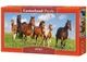 Пазл Castorland puzzle Лошади, 600 эл. (панорама) (B-060351) - изображение 1