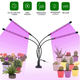 Фитолампа светодиодная LED Plant Grow Light на 4 лампы для роста растений на прищепке фитосветильник для комнатных цветов, рассады - изображение 3