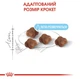 Сухой корм Royal Canin Mother and Babycat для котят до 4 месяцев 2 кг (НФ-00000218) - изображение 2