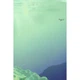 Комікс Китова зірка. Русалонька з Кьонсона. Том 1 - На Юнхі Varvar Publishing (9786170996435) - зображення 10