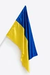 Прапор України 140х90см атласний - изображение 1