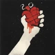Бокс-сет 4CD+2BRD Green Day : American Idiot - изображение 5