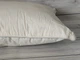 Пухова подушка 50х70см Bio cotton - зображення 1