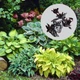 Семена Хоста гибридная Hosta hybrida, микс цветов, 10 шт - изображение 1