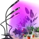 Світлодіодна фітолампа RGB 3 головки 45 Вт з USB та таймером для рослин висота 56 см колір основи чорний - зображення 4