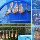 Складная сетка сушилка 50х50х70см для рыбы грибов фруктов с механическим управлением синяя 800Вт - изображение 2