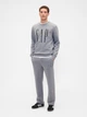 Спортивный костюм мужской утепленный GAP 355581199 XL Серый (1159853069) - изображение 1