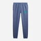 Спортивный костюм мужской утепленный GAP 888130987 XL Синий (1159853862) - изображение 7