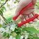 Садовые ножницы-секатор из прочной стали для обрезки растений, многофункциональный секатор - изображение 6