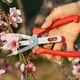 Садовые ножницы-секатор из прочной стали для обрезки растений, многофункциональный секатор - изображение 7