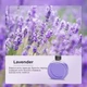 Ароматизатор для аромадиффузора Essential oil of Lavender 50мл (XXJ007-Lav) - изображение 4