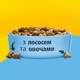 Сухой корм для взрослых котов Purina Friskies с лососем и овощами 10 кг (5997204515469) - изображение 9