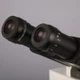 Микроскоп люминесцентный MICROmed Evolution LUM LS-8530 - изображение 4