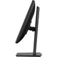 Монитор 19" IIYAMA ProLite B1980S-B1 TN+film 1280x1024 75 Гц 250 кд/м² Black - изображение 5