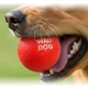 Игрушка для собак WAUDOG Fun Red Ball, вспененный термопластичный полиуретан, 70мм - изображение 2