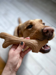 Игрушка для собак Рог жевательный GiGwi Wooden Antler, дерево, полимер, L 24 см - изображение 2