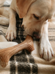 Игрушка для собак Рог жевательный GiGwi Wooden Antler, дерево, полимер, L 24 см - изображение 3