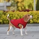 Жилет Noble Pet Softshell Ostin O4149/L Red - изображение 2