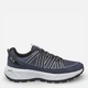 Мужские кроссовки для треккинга с мембраной Jack Wolfskin Wild Hike Texapore Low M A65577-C0412 42 (8UK) 26.4 см Синие (4064886554619) - изображение 1