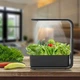 Гидропонная систем гоубокс Smart с LED подсветкой для домашнего выращивания сада,мощность 15 Вт посадочных мест 3 5067253 - изображение 3