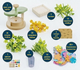 DIY набор для творчества Flower Maker: Обучающий комплект для моделирования цветов и флористики (189 деталей) - изображение 3