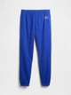 Спортивные штаны утепленные мужские GAP 819319606 L Синие (1159853499) - изображение 9