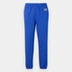 Спортивные штаны утепленные мужские GAP 819319606 L Синие (1159853499) - изображение 10
