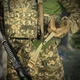Ремень оружейный RAGNAROK "FORSETI" QD двухточечный эластичный Coyote FORSETI-QD-K - изображение 3
