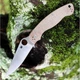 Ніж Spyderco Military 2 brown C36MPCW2 - зображення 5