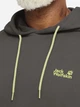 Худи мужское Jack Wolfskin Celebratehe Paw Hoody A65904-T0404 S Коричневое (4064886664561) - изображение 5