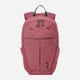 Рюкзак спортивный 14 л вмещает формат А4 Jack Wolfskin A65730-H0114 Розовый (4064886703024) - изображение 1