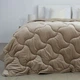 Одеяло ТЕП «VELOUR» Золотой беж, 180x210 - изображение 2