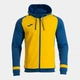 Худи с капюшоном Joma LIDER 104300.907 Joma 3XL - изображение 1