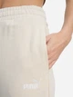 Спортивні штани жіночі Puma Ess Small No. 1 Logo Comfort High-Waist 68245987 L Alpine Snow (4069161979446) - зображення 5