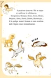 Книга Єдиноріжжя. Книга 3. Чарівний виклик - Ана Пунсет - зображення 3